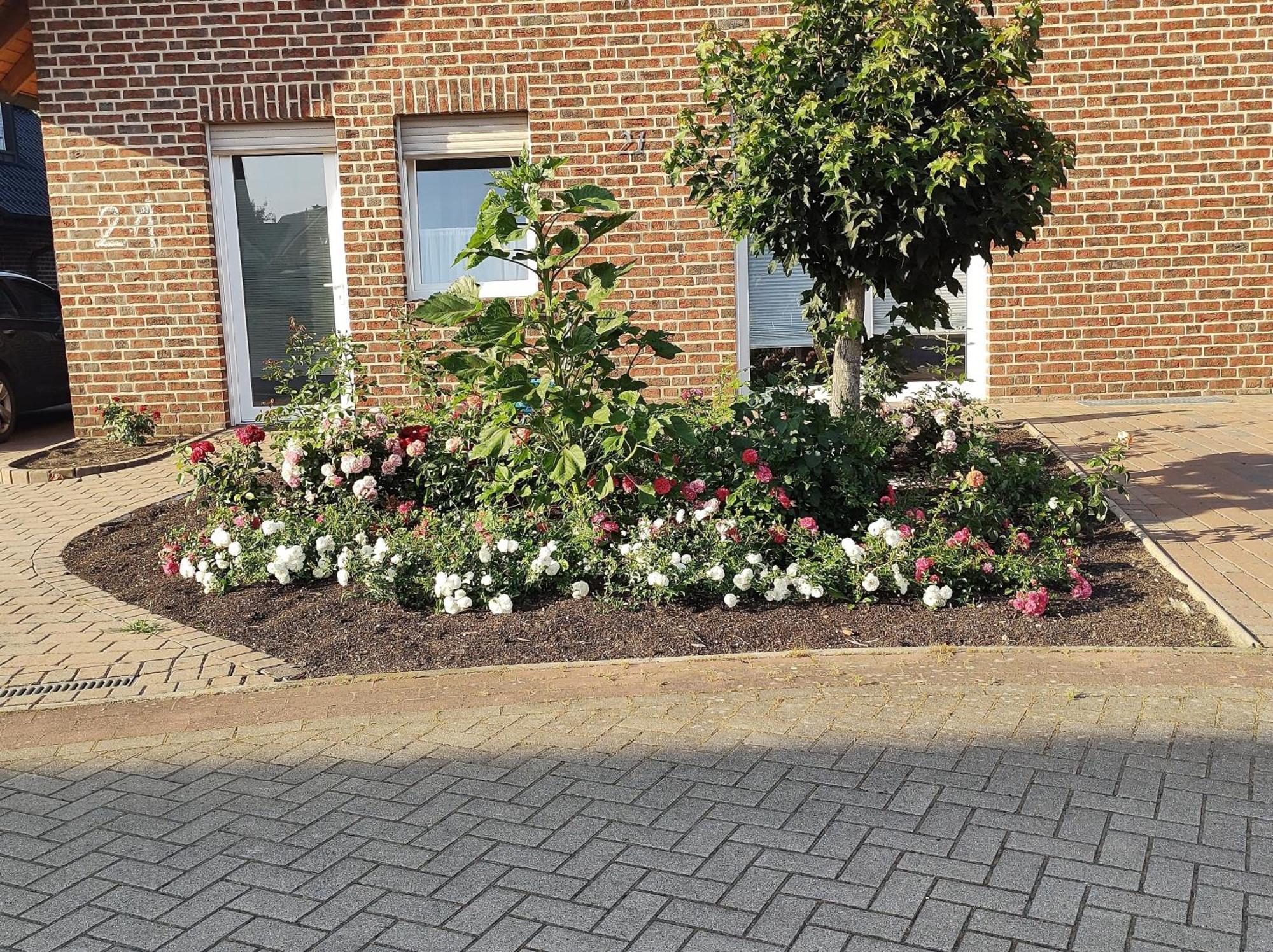 Fewo Holunderbusch Saerbeck Buitenkant foto