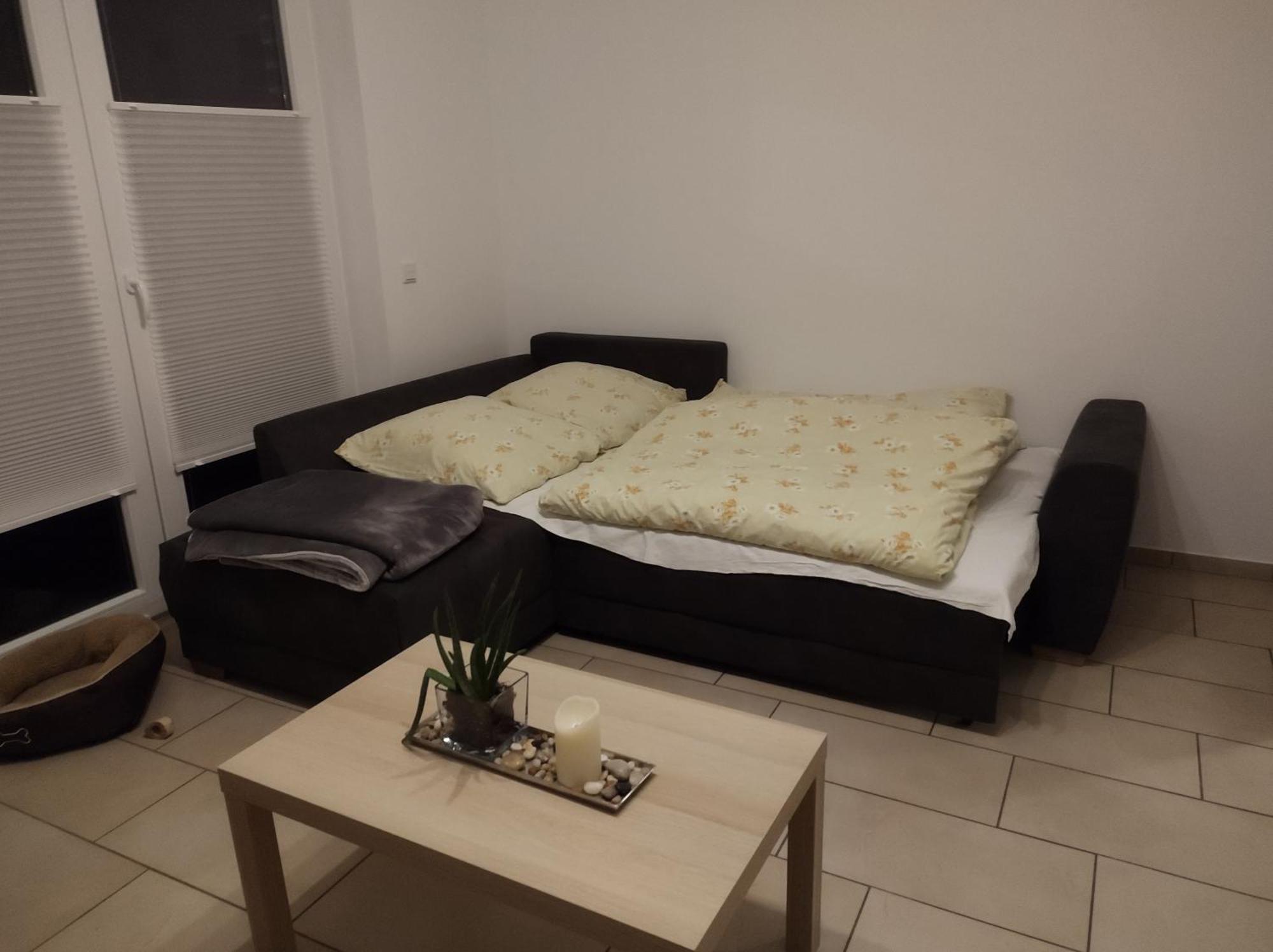 Fewo Holunderbusch Saerbeck Buitenkant foto
